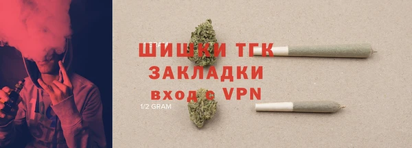 МДПВ Карпинск