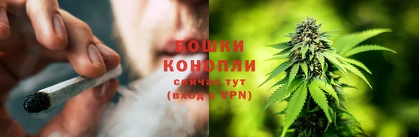 МДПВ Карпинск