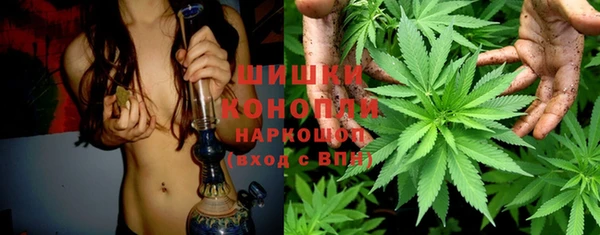 МДПВ Карпинск